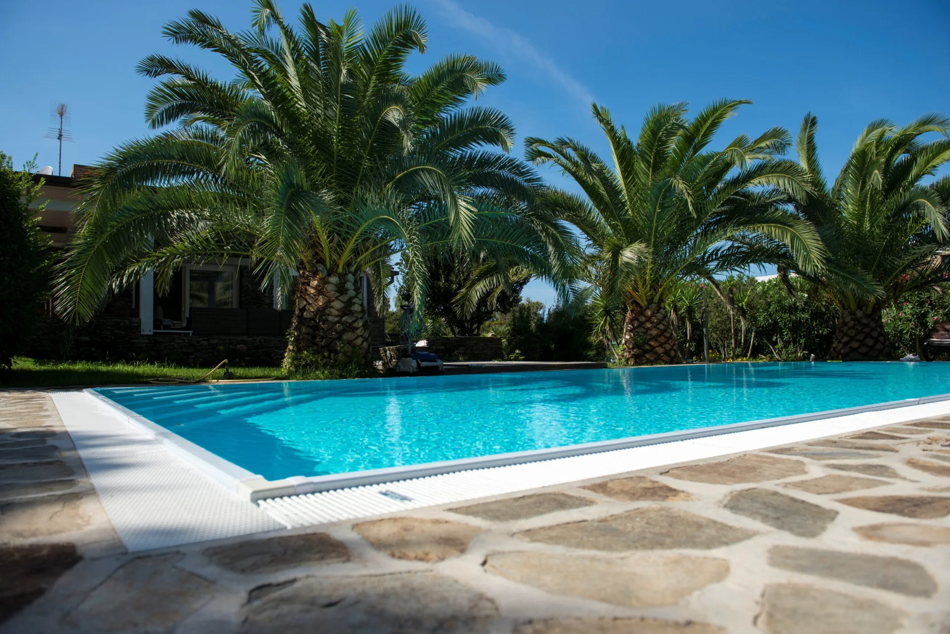 La piscina privata di Villa Geko circondata da palme e giardino